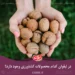 محصولات کشاورزی لیقوان